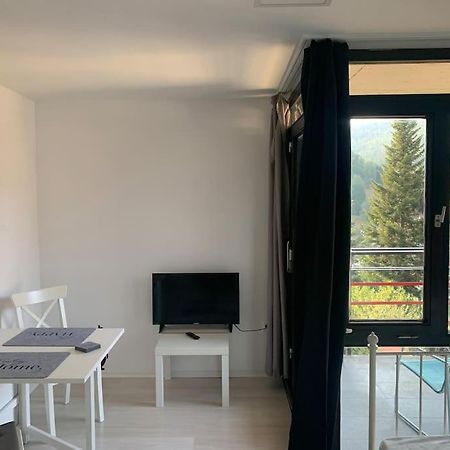 Gemuetliches Einzimmer-Apartment 33 Bad Wildbad Kültér fotó