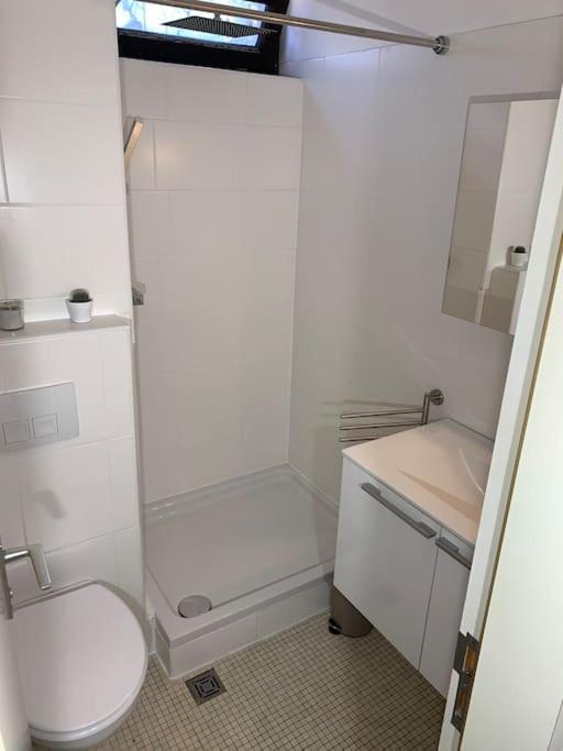 Gemuetliches Einzimmer-Apartment 33 Bad Wildbad Kültér fotó