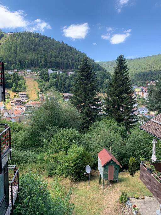 Gemuetliches Einzimmer-Apartment 33 Bad Wildbad Kültér fotó