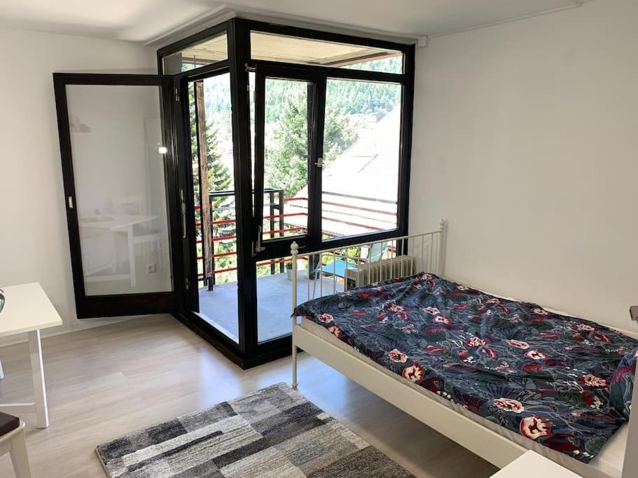 Gemuetliches Einzimmer-Apartment 33 Bad Wildbad Kültér fotó
