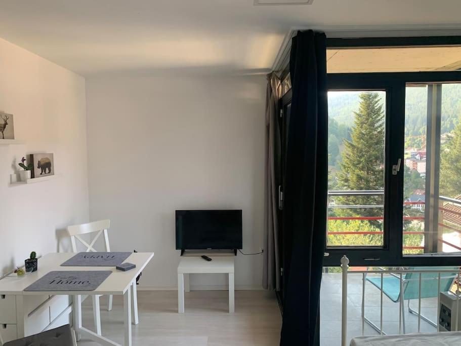 Gemuetliches Einzimmer-Apartment 33 Bad Wildbad Kültér fotó