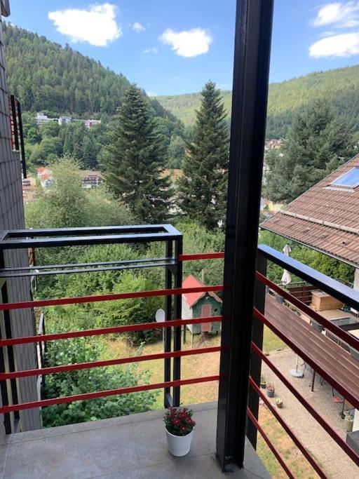 Gemuetliches Einzimmer-Apartment 33 Bad Wildbad Kültér fotó