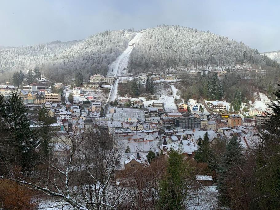 Gemuetliches Einzimmer-Apartment 33 Bad Wildbad Kültér fotó